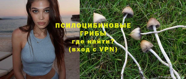 мяу мяу мука Арсеньев