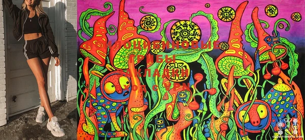 стафф Балахна