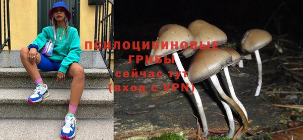 крисы Аркадак