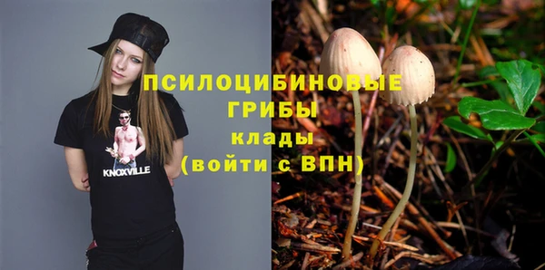 мяу мяу мука Арсеньев