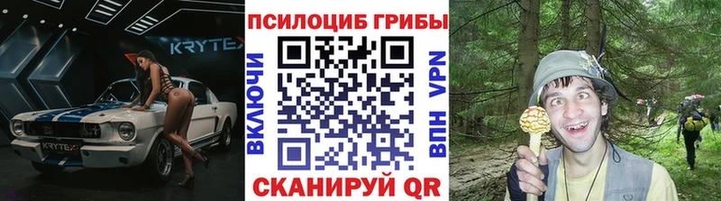 Галлюциногенные грибы ЛСД  дарнет шоп  Дегтярск 